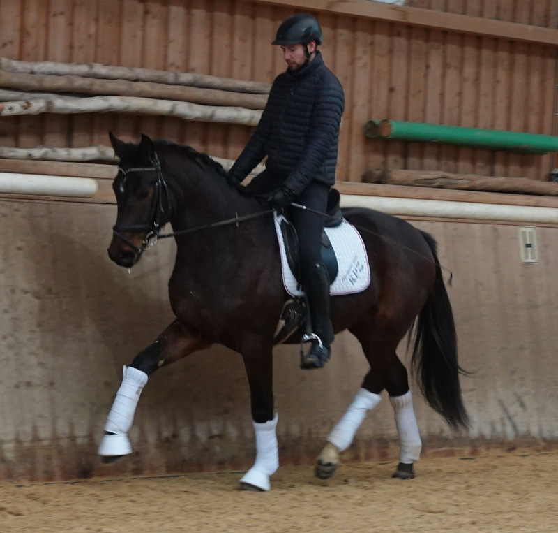 This image for Image Layouts addon